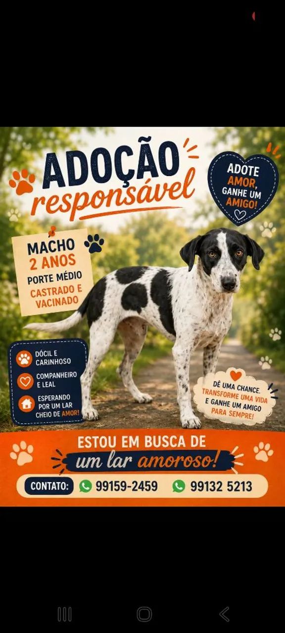 Adoção responsável 