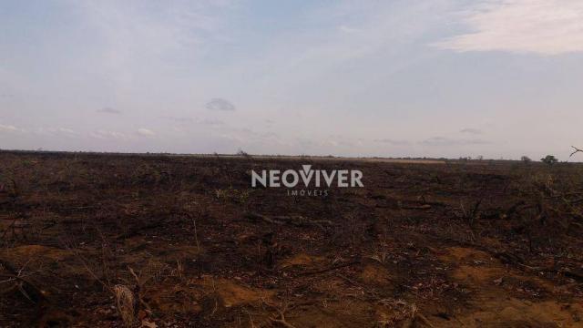 Fazenda campo belo! - Foto 13
