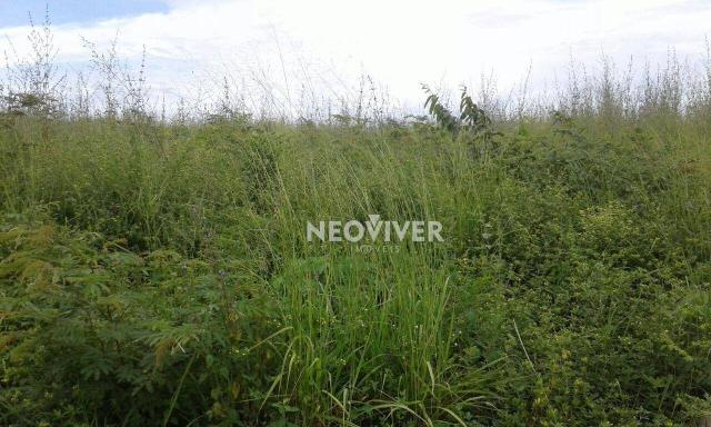 Fazenda campo belo! - Foto 10