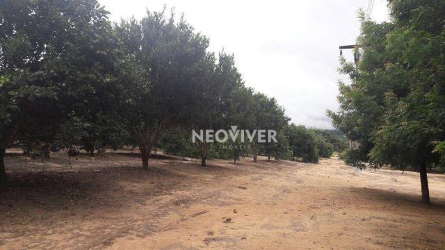 Fazenda campo belo! - Foto 16