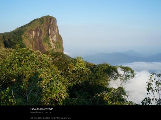Ubatuba SP - Mata Atlântica | Área Comp. Ambiental, Parque, APP, Santuário, 715 alqueires - Foto 5