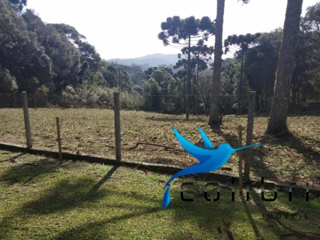 Chácara pronta para moradia ou lazer de porteira fechada. - Foto 11