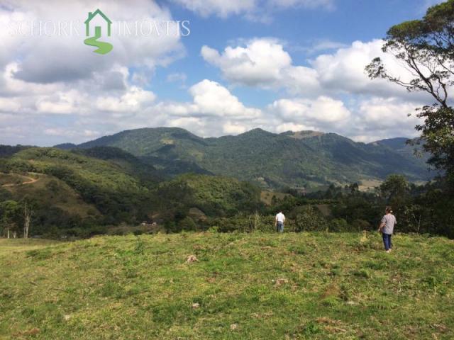 Sítio à venda em Alto cedros, Rio dos cedros cod:5975 - Foto 6