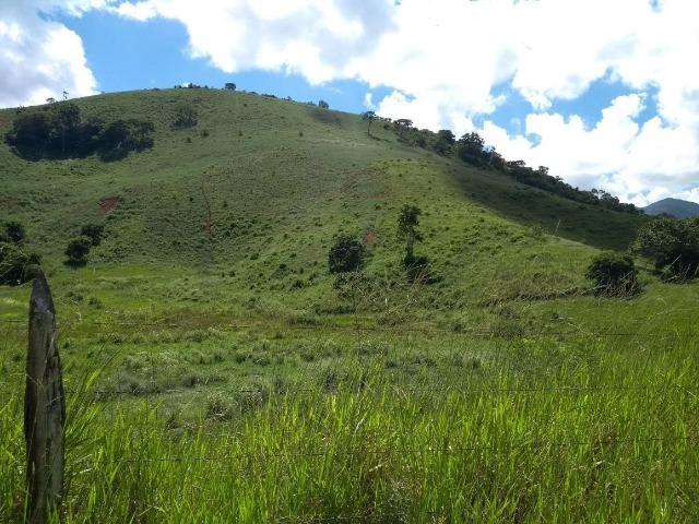 Vendo uma excelente fazenda com 101 alquero - Foto 5