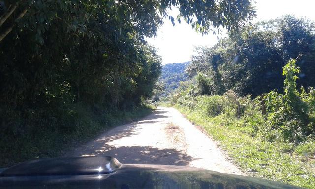 Vendo fazenda com 32 alqueres - Foto 2