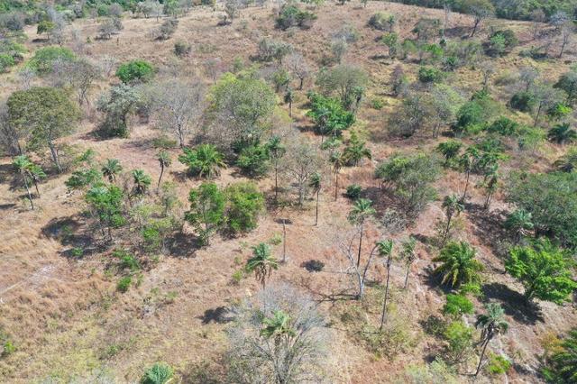 Fazenda no município de faina-GO! 24 Alqueires! - Foto 10