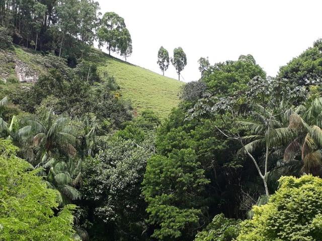 Linda chácara 3.000² a 7 km do trevo de Fazenda do Estado e 15km de Pedra Azul D.M.!! - Foto 17