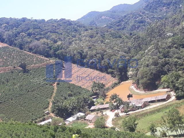 JG. Sítio de 234 mil m² com casa de 3 quartos com suíte em Marechal Floriano! - Foto 14