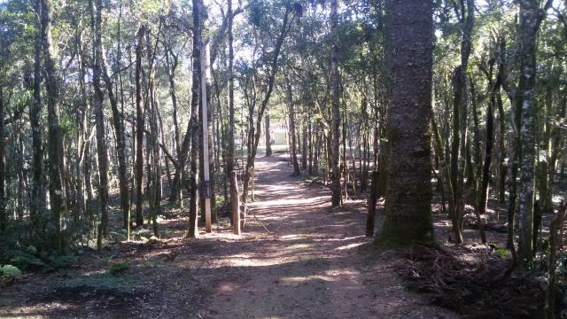 Vende se Chácara (16km do Centro de Contenda) - Foto 8