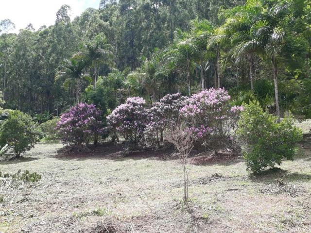 Linda chácara 3.000² a 7 km do trevo de Fazenda do Estado e 15km de Pedra Azul D.M.!! - Foto 11