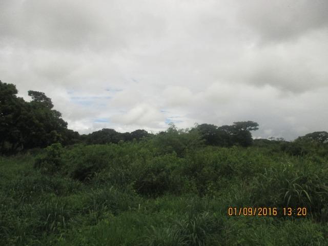 Fazenda na região do abobral,pra venda e arrendamento.2,800 ha - Foto 12