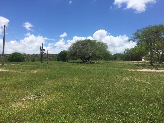 Terreno de Chácara - 15x43 - Pronto para Construir - A 9 km de Caruaru - Acesso Asfaltado - Foto 2