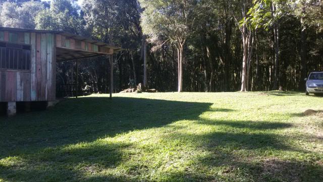 Vende se Chácara (16km do Centro de Contenda) - Foto 6