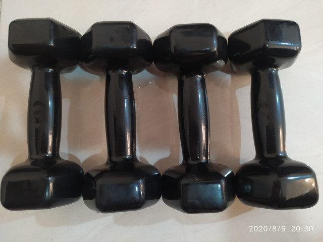 Halter Emborrachado Sextavados (10kg) - Foto 2