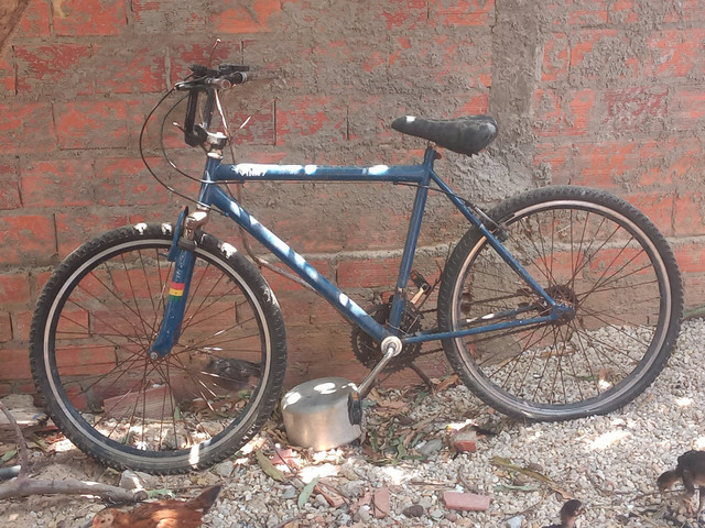 Bicicleta