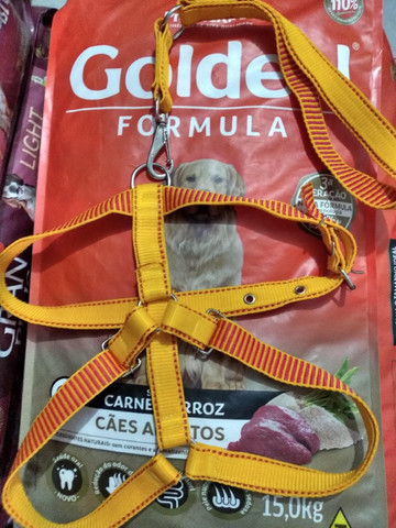 Peitoral tração e força - Foto 4