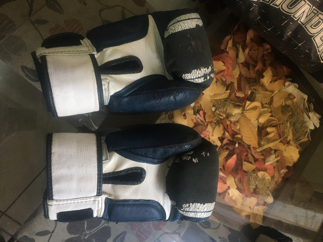 Luvas de Boxe, Bolsa para itens e atadura - Foto 2