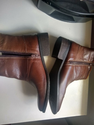 bota spatifilus cano curto
