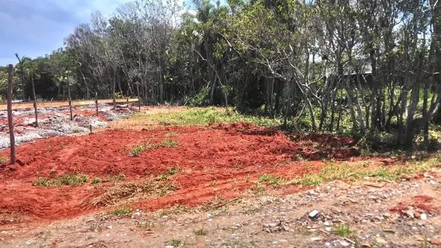 PREÇO BARATO LOTES, escriturados  para venda com 960 metros quadrados em Centenário - Torr