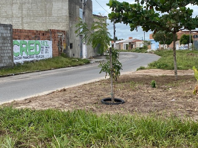 Terreno na avenida  do Albano Franco  - Foto 3