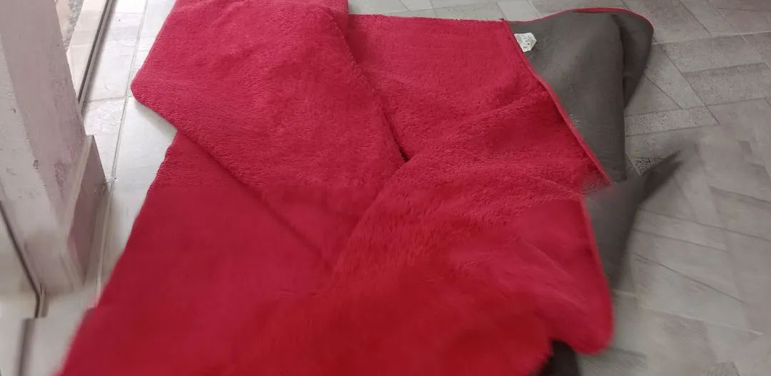 Tapete Vermelho Peludo - Foto 2