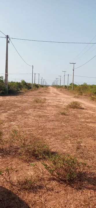 foto - Fortaleza - Damas