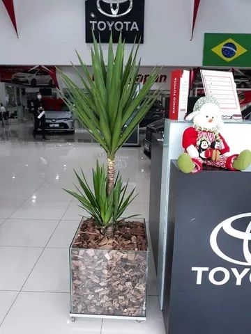 Vaso de vidro com planta - Foto 2