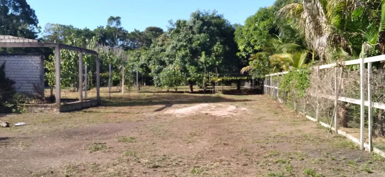 Terreno Documentado em Belterra  - Foto 2