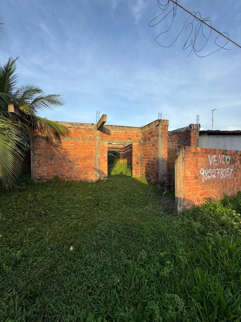 Raposa rua da vitória 