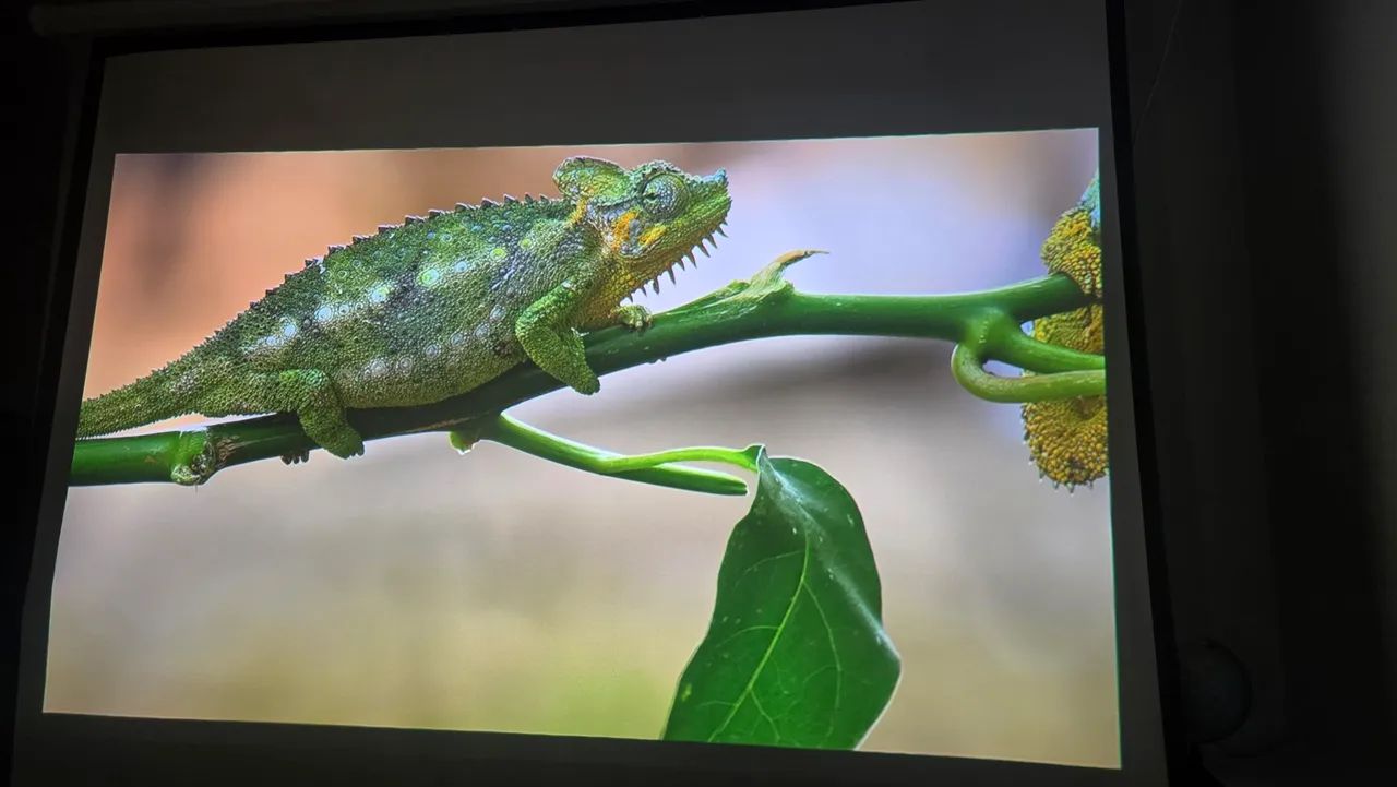 Projetor the freestyle 2nd com tela retrátil 100 polegadas - Foto 6