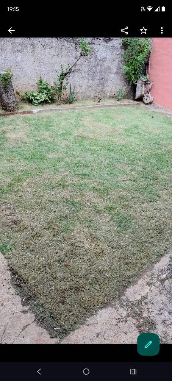 Roçagem de gramas e lotes.. - Foto 4