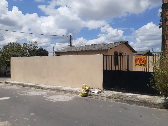 Foto - Manaus - Lírio do Vale