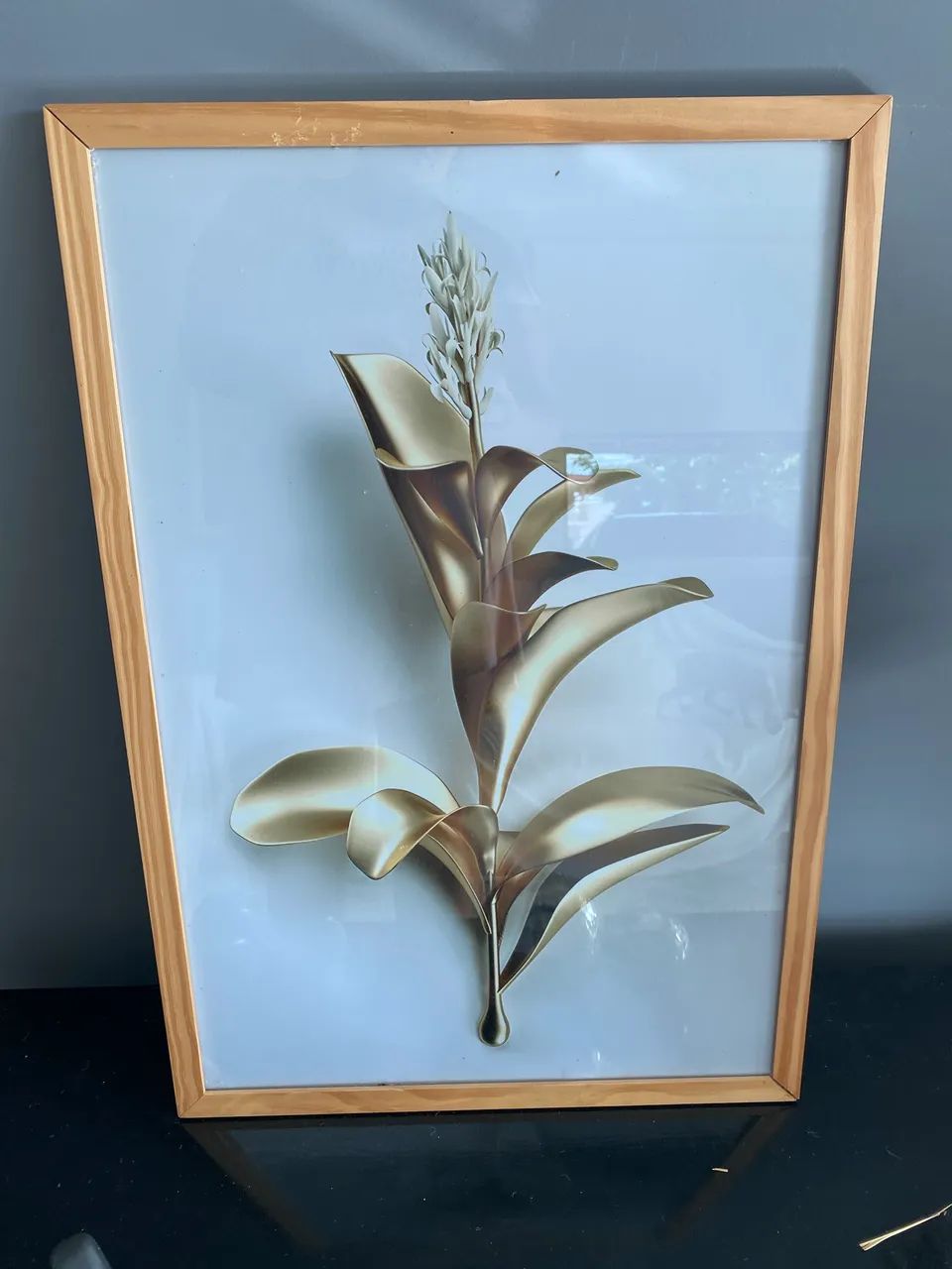 2 Quadros grandes com vidro