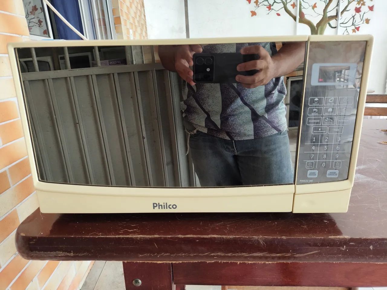 Microondas Philco,20 lts,110 volts, entrego e dou garantia 