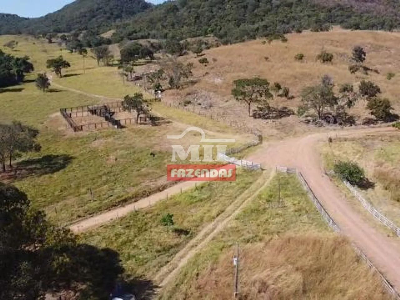 Fazenda de 100 Alqueires (484 Hectares) em Hidrolina-GO - Foto 3