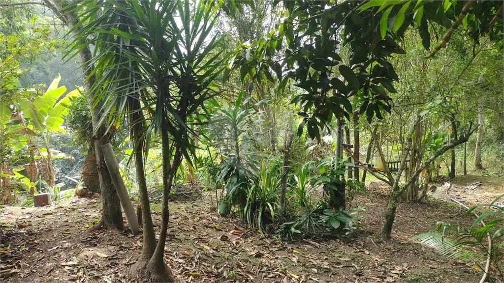 Terreno à venda em Badu - RJ - Foto 4