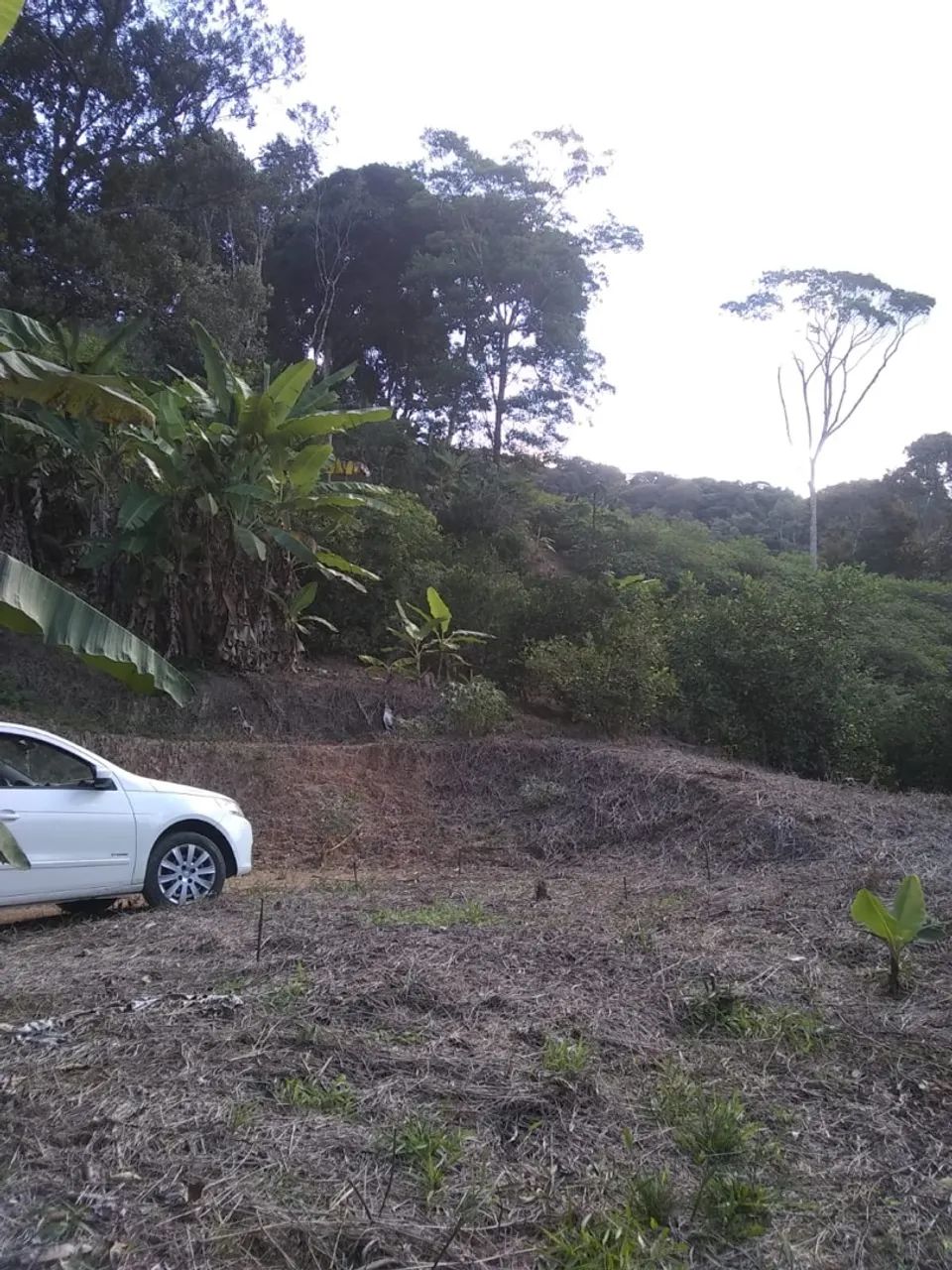 Teresópolis sc perto água mornas  - Foto 4