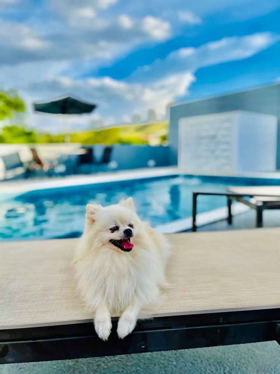 Chácara em Igaratá/SP - Piscina moderna, Wi-Fi, lazer completo em condomínio! - Foto 4