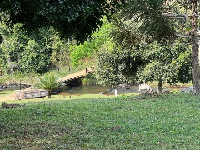 FAZENDA EM CRAVOLÂNDIA - 340 HECTARES - Foto 3