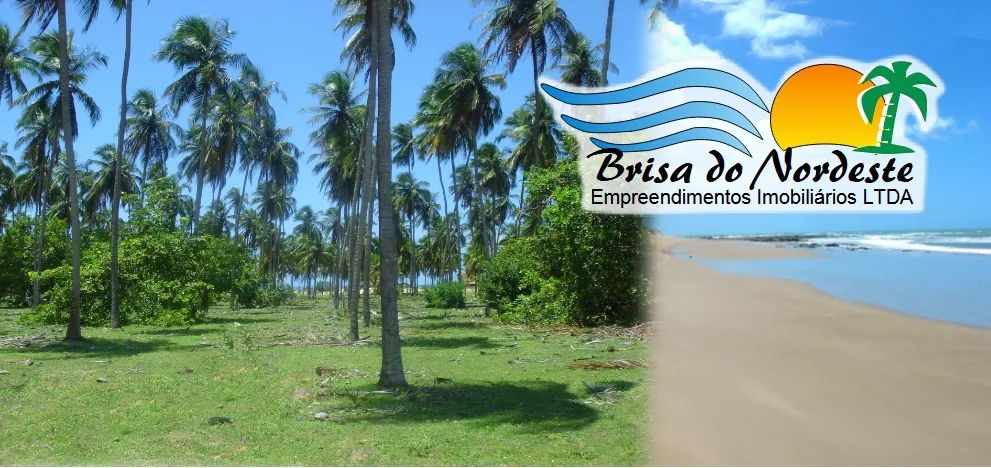 Área com 12,3 mil metros quadrados ao lado de São Miguel do Gostoso - RN, R$12,3 Mi - Foto 3