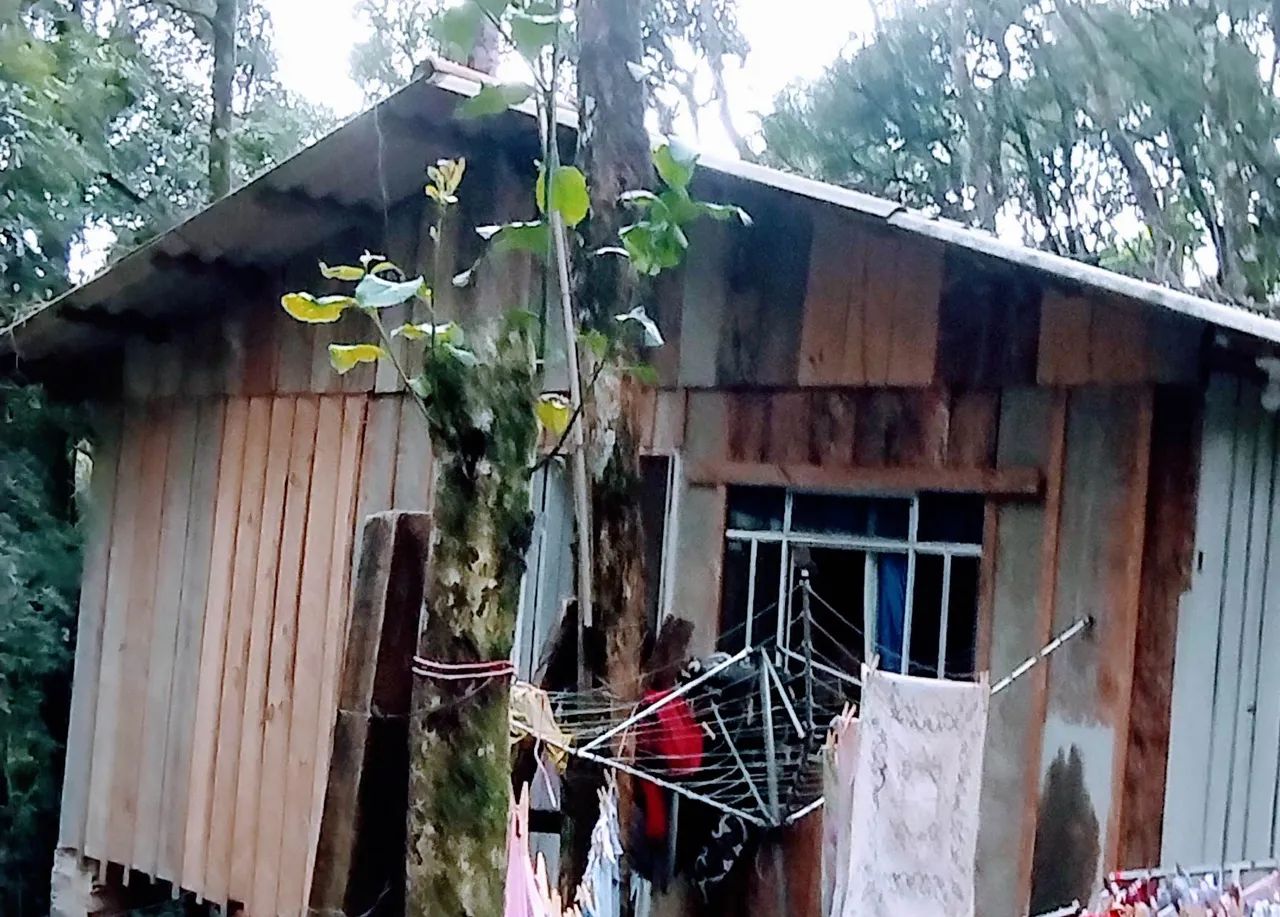 Foto - Curitiba - Sítio Cercado