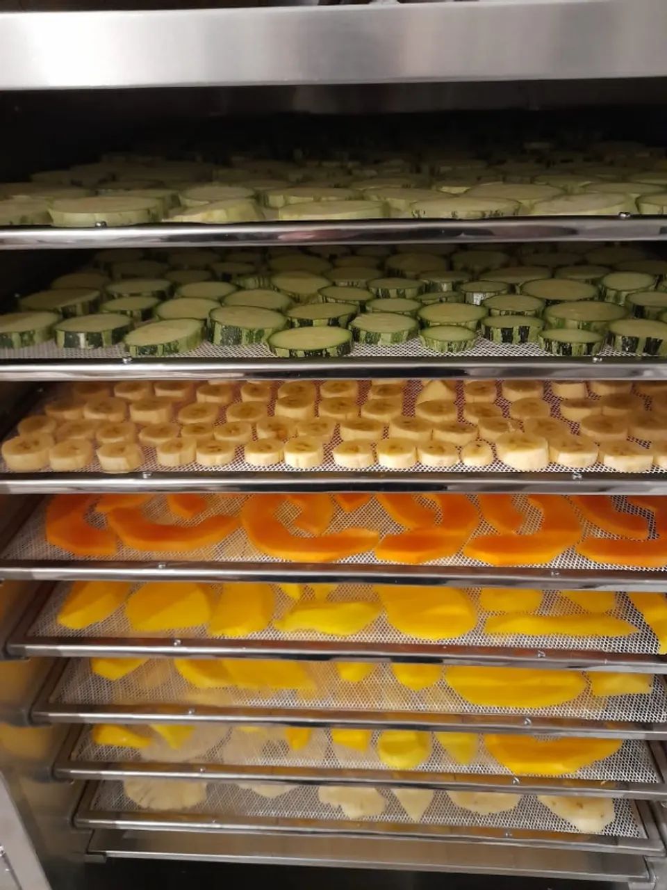 Desidratador de alimentos Pardal PE-60 - 220V