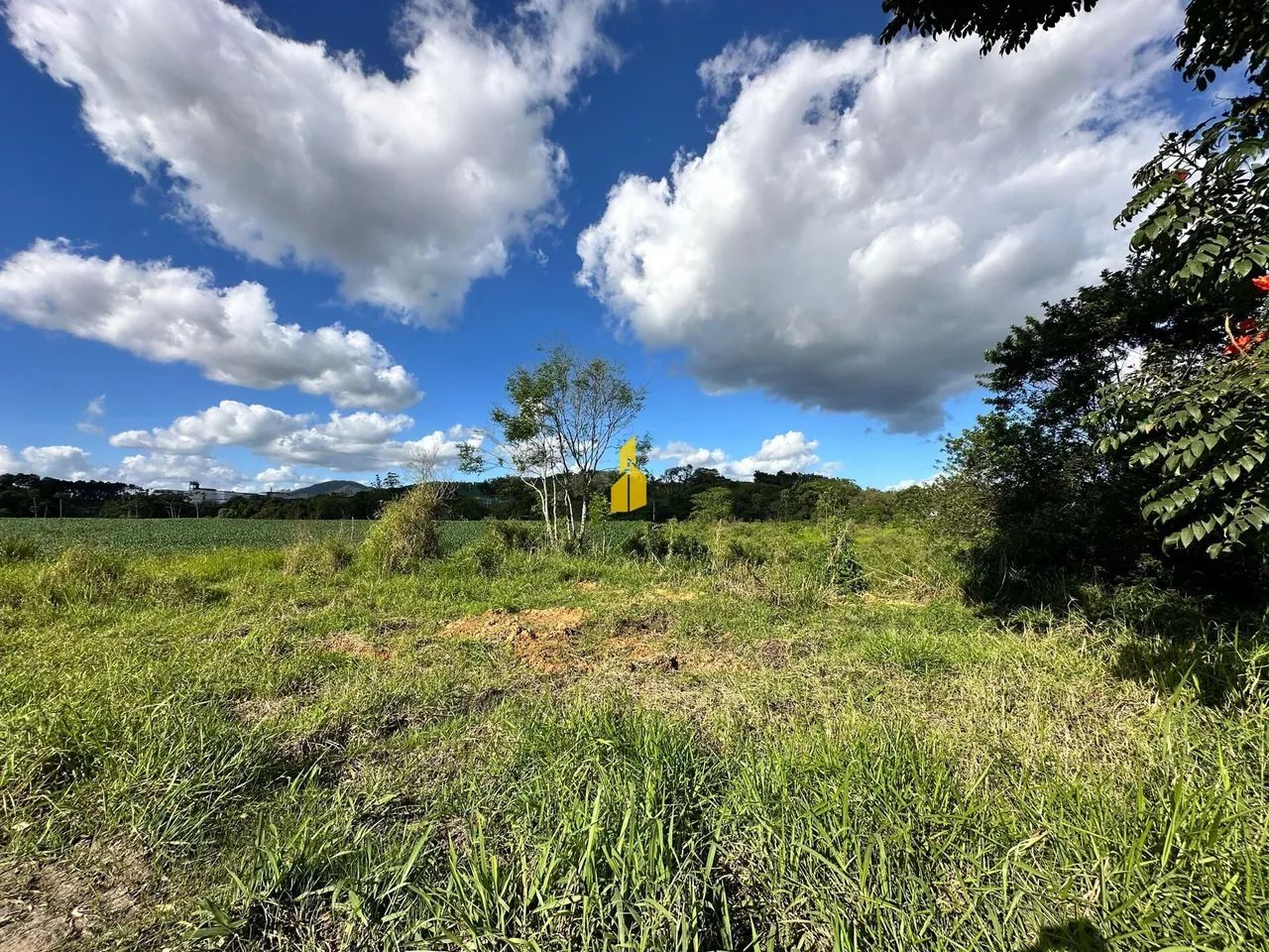 Terreno comercial à venda em Timbó - Foto 2