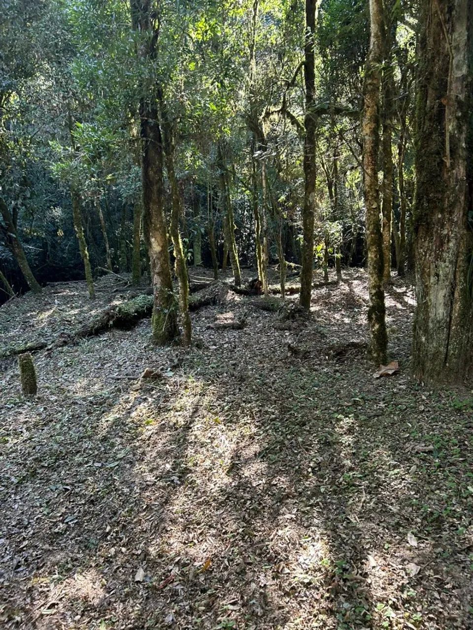 CHACARA A VENDA 5000 MT - Foto 2