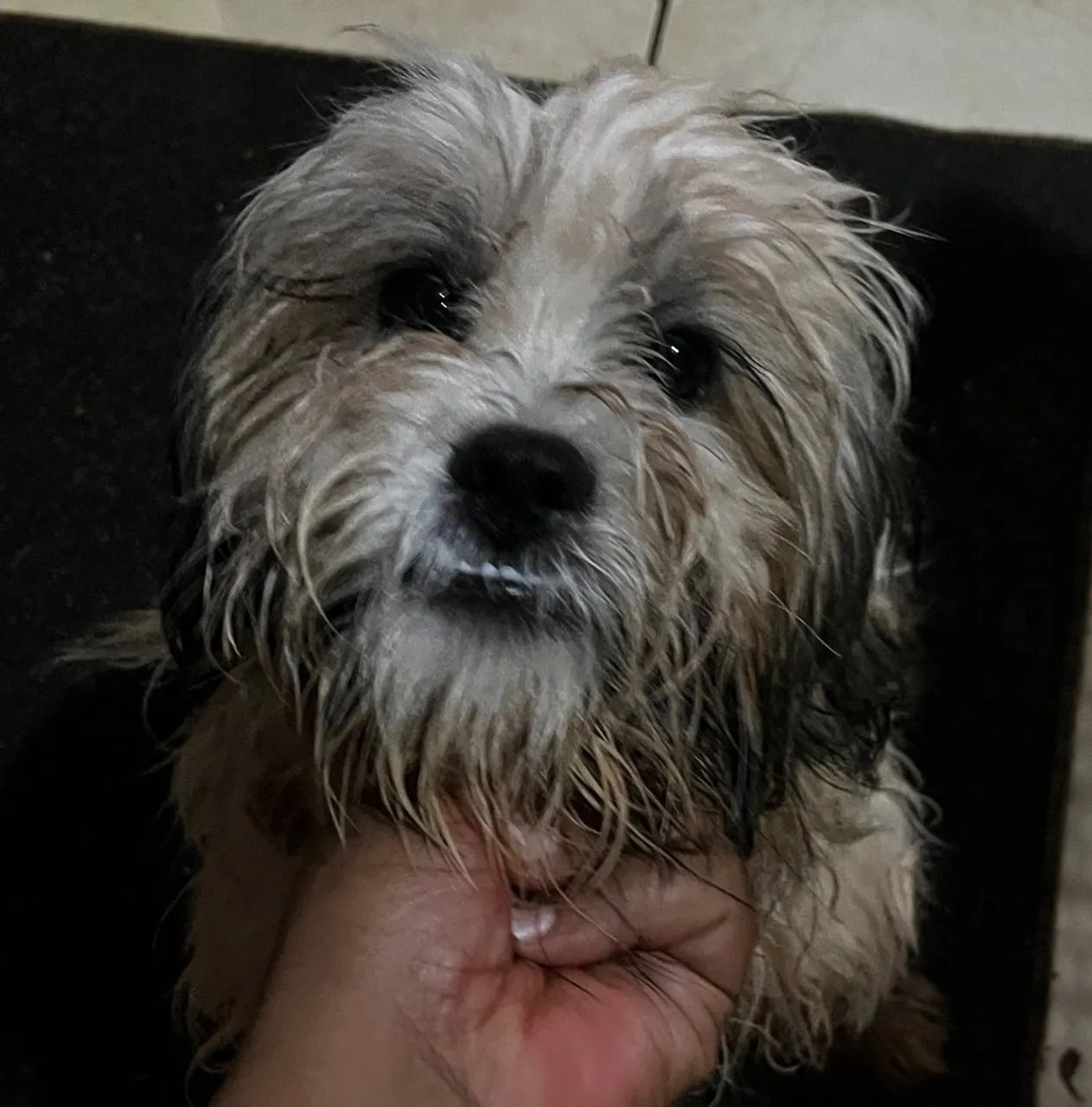 Doação  - Foto 2