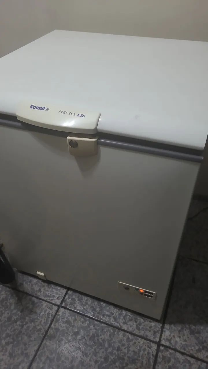 Frezzer Consul 220l - Foto 2