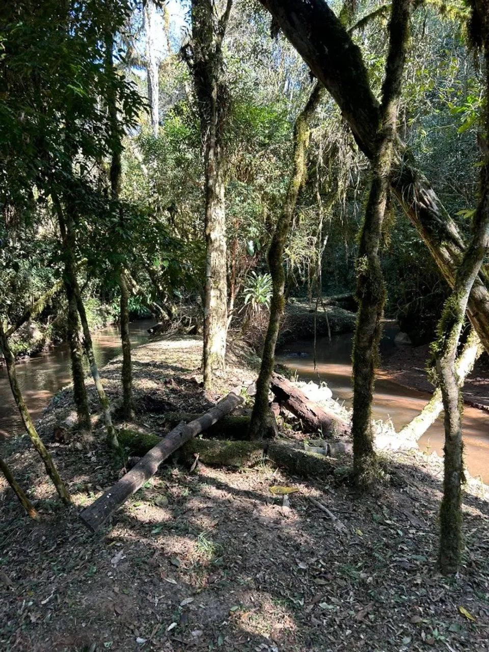 CHACARA A VENDA 5000 MT - Foto 3