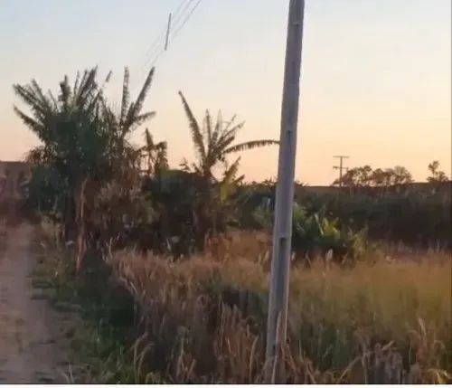 Chácara em Mandaguari - Foto 3