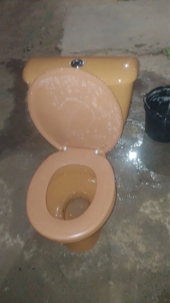 Vendo vaso sanitário 