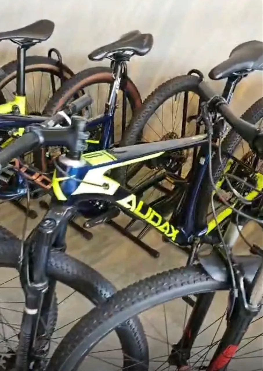 Bicicleta audax auge 40 - Foto 5
